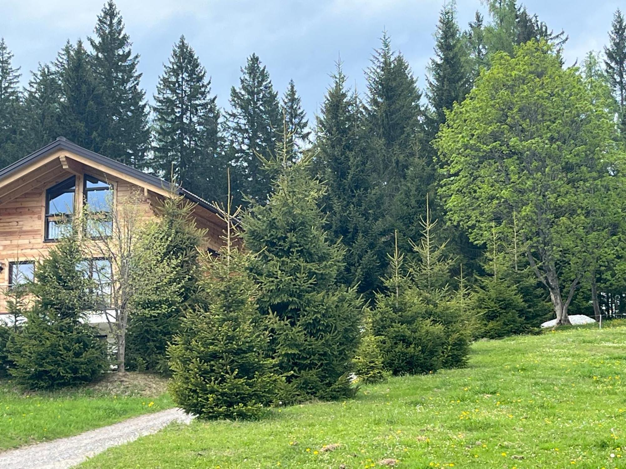 Chalet Bergheimat Wagrain Luaran gambar